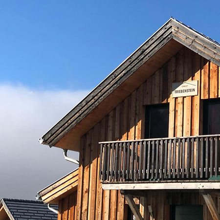 Chalet Triebenstein Hohentauern Exterior photo